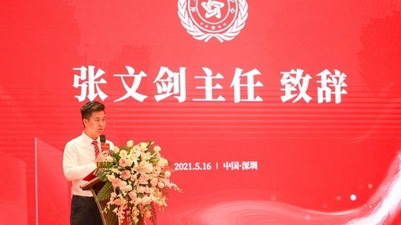 mg动画定制案例哪家好